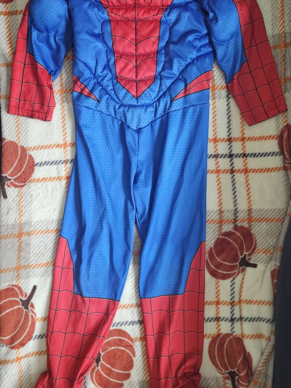 Blue & Red Kids Superhero Costume